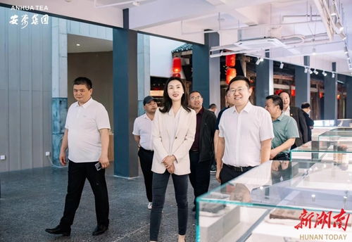 永定區(qū)工商聯(lián)推動民企‘走出去，請進(jìn)來’，助力經(jīng)濟(jì)與文化雙騰飛